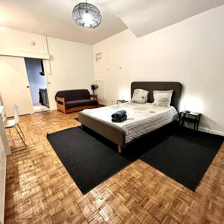 Grenoble Hypercentre - Appartement vieille ville - Wifi - Apartment mit 1 Schlafzimmer - 3