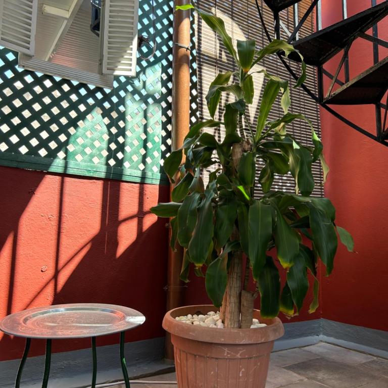 DREAM WISH - Apartamento de 1 dormitorio - 23
