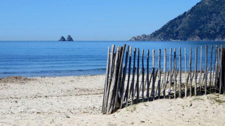 "l'hippocampe", climatisé, 60 m2 , 2 chambres, très calme, plage des sablettes et commerces à 3 minutes à pied, wifi, parking gratuit, lit king size - Appartement 2 Chambres - 29