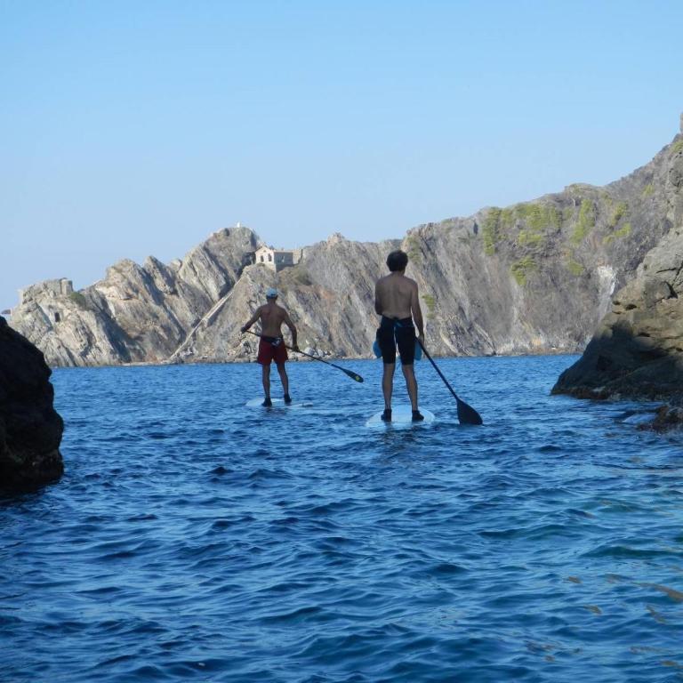 "l'hippocampe", climatisé, 60 m2 , 2 chambres, très calme, plage des sablettes et commerces à 3 minutes à pied, wifi, parking gratuit, lit king size - Appartement 2 Chambres - 24