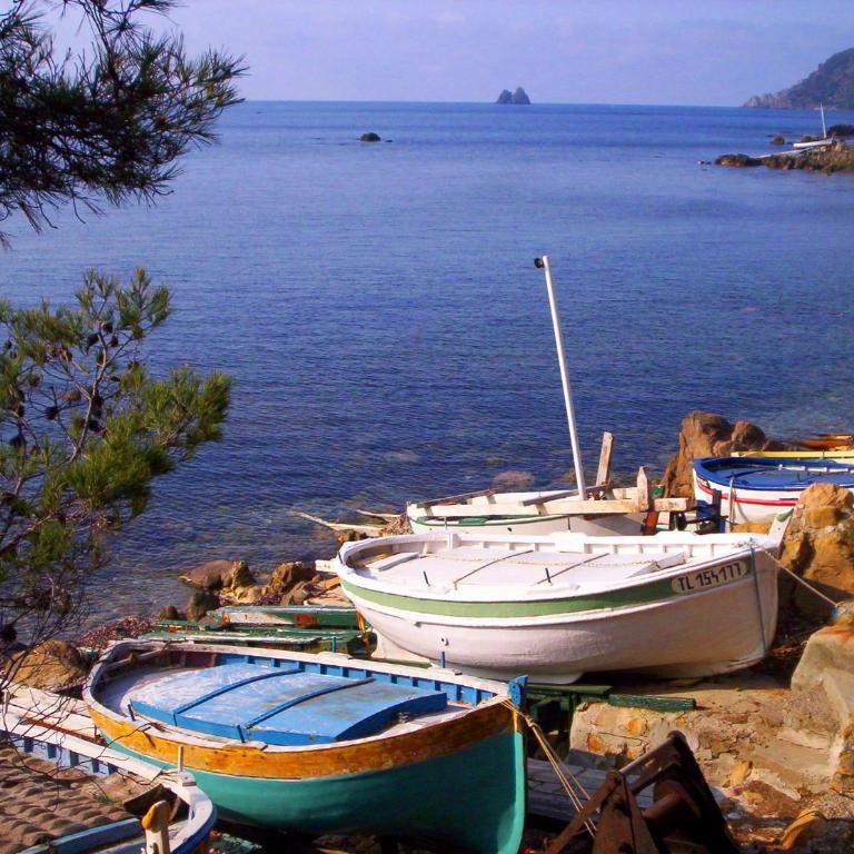 "l'hippocampe", climatisé, 60 m2 , 2 chambres, très calme, plage des sablettes et commerces à 3 minutes à pied, wifi, parking gratuit, lit king size - Appartement 2 Chambres - 25