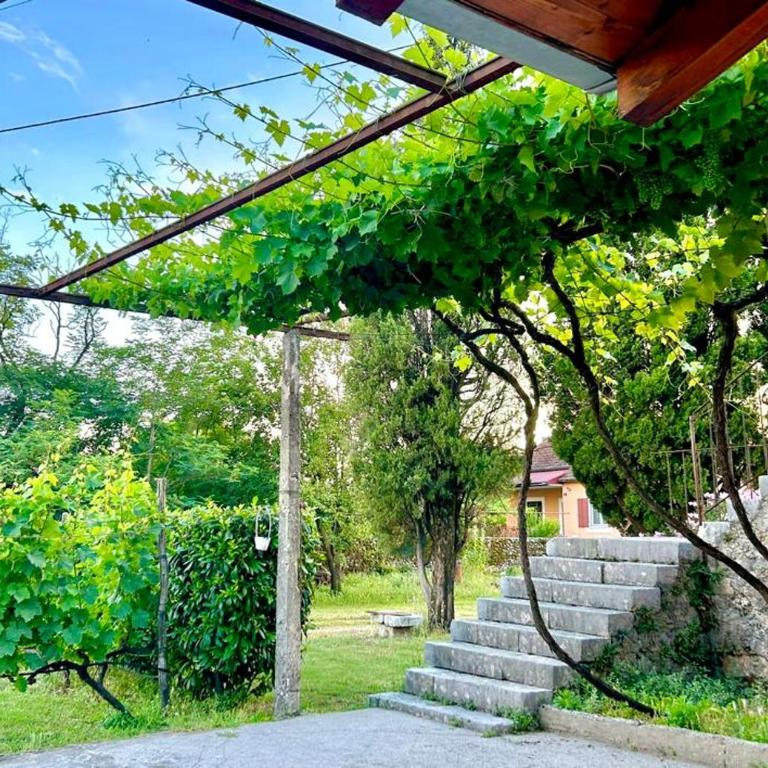 Apartman Boljević - One-Bedroom Apartment - 5