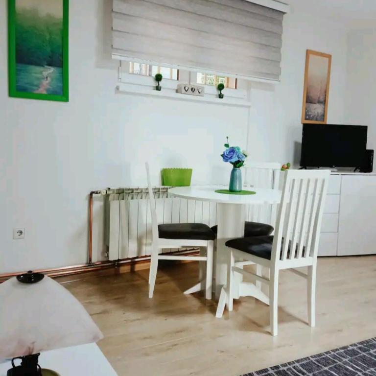 Sarah - One-Bedroom Apartment - 10