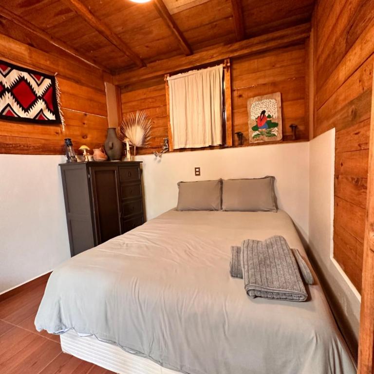 Cabaña Campestre en Oaxaca - Apartamento de 1 dormitorio - 2