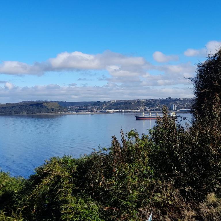 Cabañas Lago Azul - Bungalow Estándar - 4