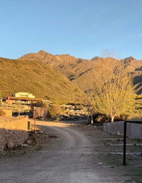 Cabaña en Mendoza única - Deluxe Bungalow - 31