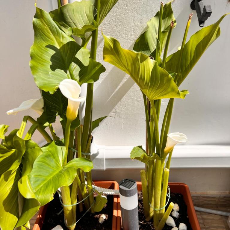 DeepHouse, Casa con Giardino vicino al Mare - Casa con 2 Camere da Letto - 37