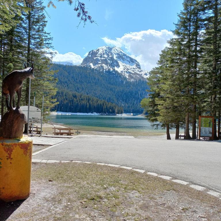 Studio Apartman Tea, Žabljak - Studio Apartment - 17