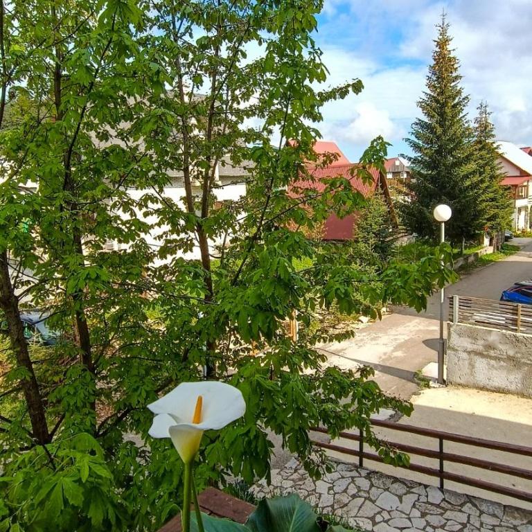 Apartments Sipcic - Studio Apartment - 17