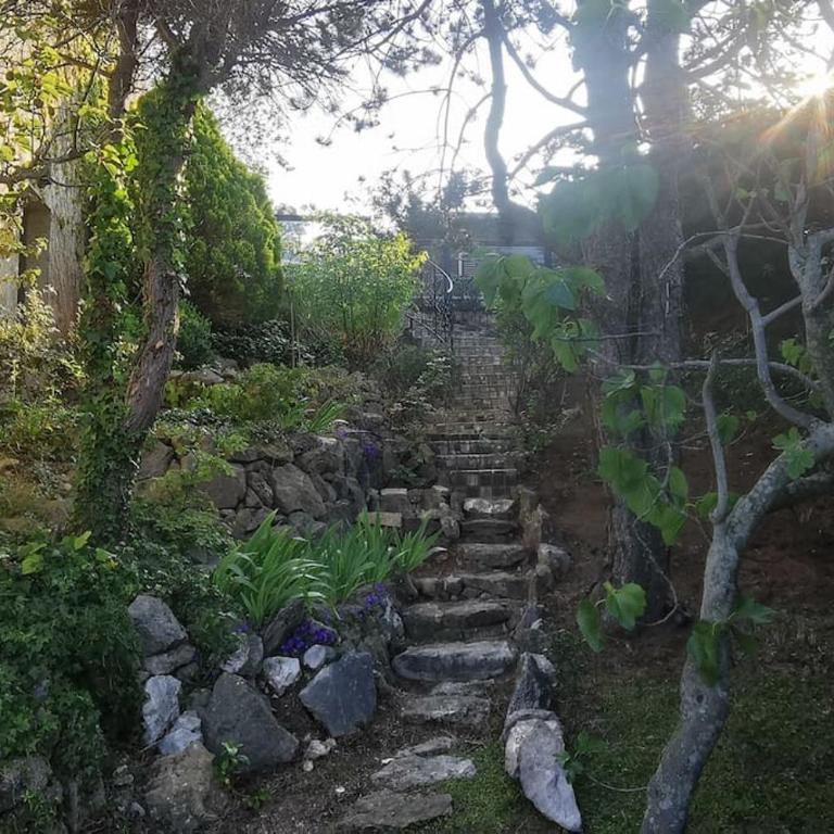 Villa with unique & breathtaking view over Sea, Monte-Carlo, Italy & Alps - Maison 4 Chambres - 12