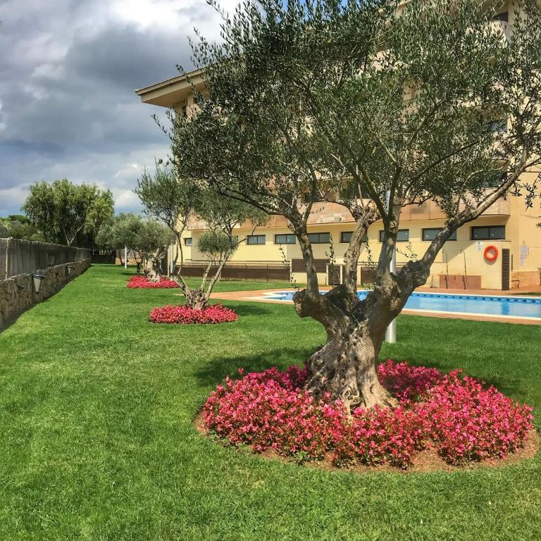 Sa Boadella - Fenals Beach - Apartamento - 13