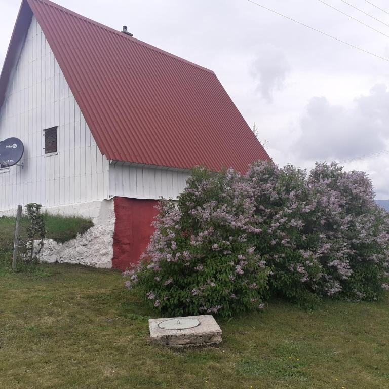 Žabljak izdavanje kuce - Three-Bedroom House - 1