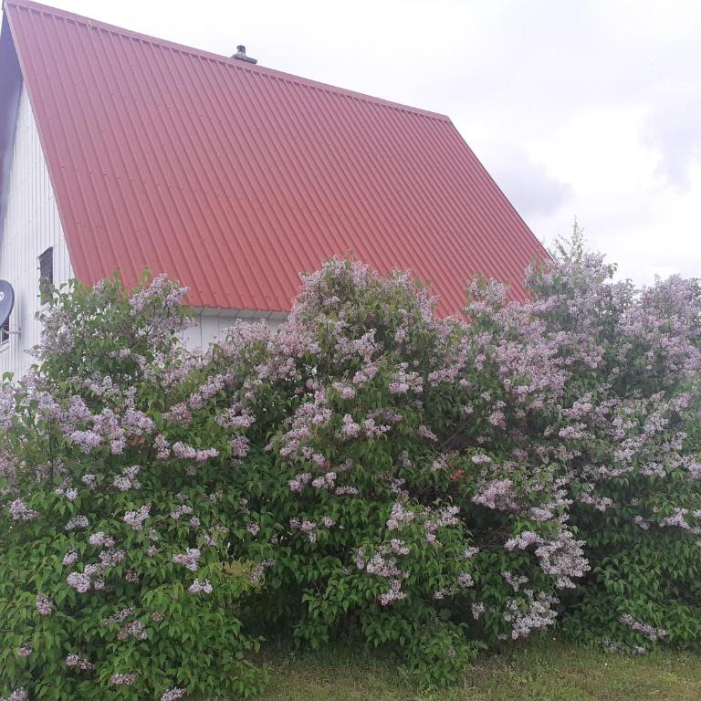 Žabljak izdavanje kuce - Three-Bedroom House - 33