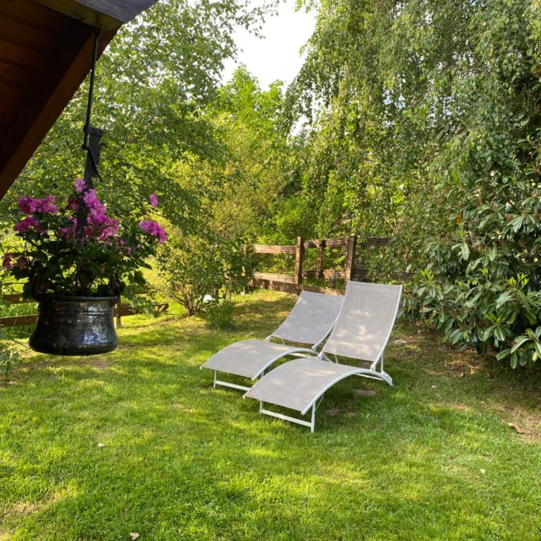 gite moya - Chalet - 36