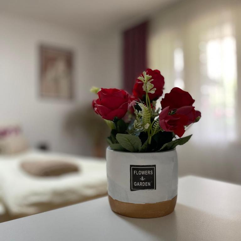 Apartmani Stanković Sokobanja - Deluks Dvokrevetna Soba sa Bračnim Krevetom - 1