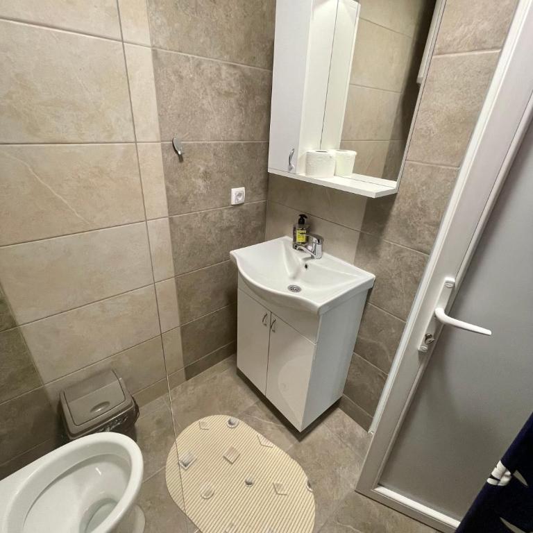 Apartmani Stanković Sokobanja - Deluks Dvokrevetna Soba sa Bračnim Krevetom - 11