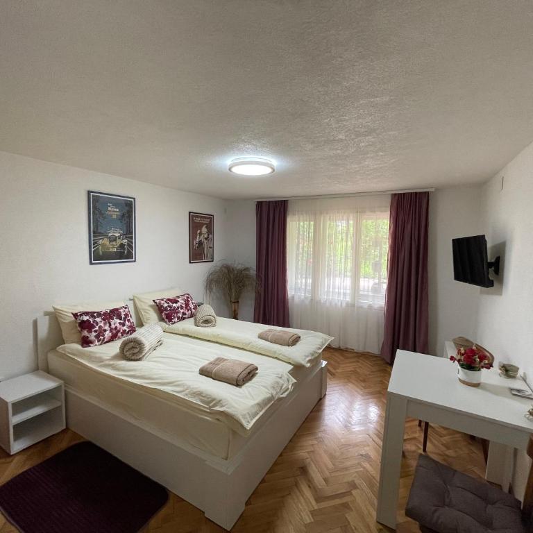 Apartmani Stanković Sokobanja - Deluks Dvokrevetna Soba sa Bračnim Krevetom - 6