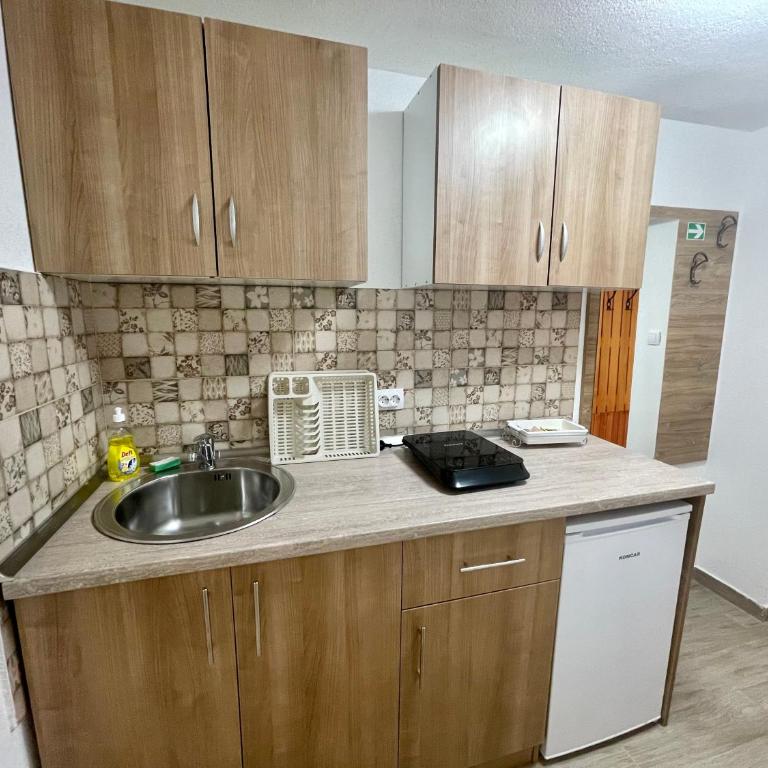 Apartmani Stanković Sokobanja - Deluks Dvokrevetna Soba sa Bračnim Krevetom - 9