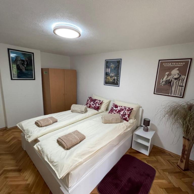 Apartmani Stanković Sokobanja - Deluks Dvokrevetna Soba sa Bračnim Krevetom - 3