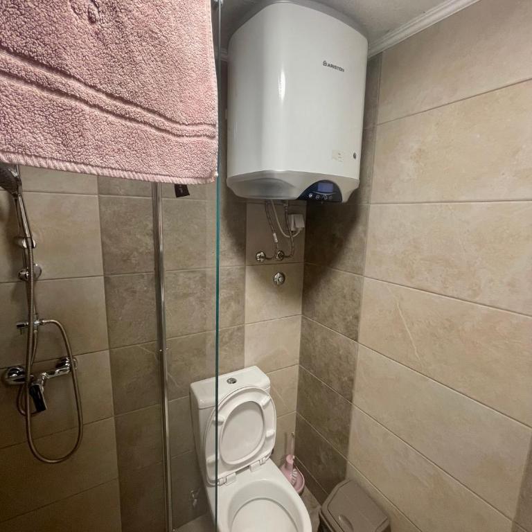 Apartmani Stanković Sokobanja - Deluks Dvokrevetna Soba sa Bračnim Krevetom - 5
