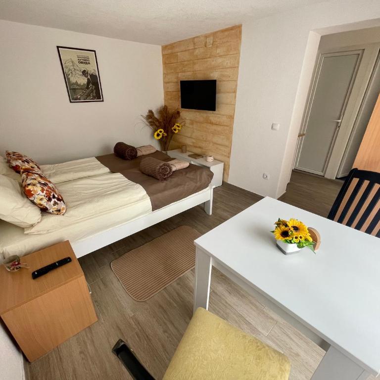 Apartmani Stanković Sokobanja - Apartman sa 1 Spavaćom Sobom - 4