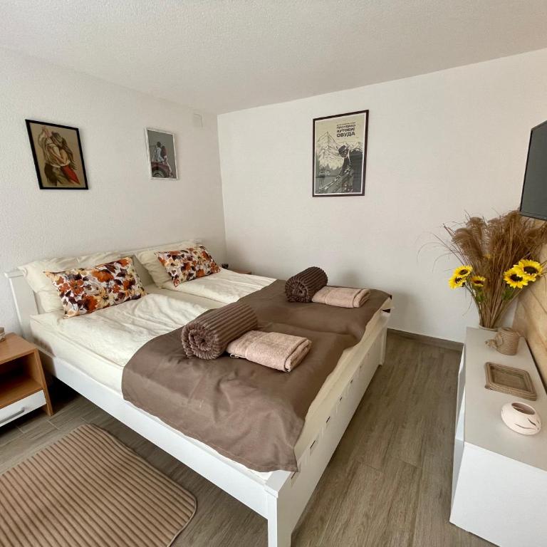 Apartmani Stanković Sokobanja - Apartman sa 1 Spavaćom Sobom - 8