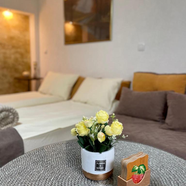 Apartmani Stanković Sokobanja - Apartman sa 1 Spavaćom Sobom - 7