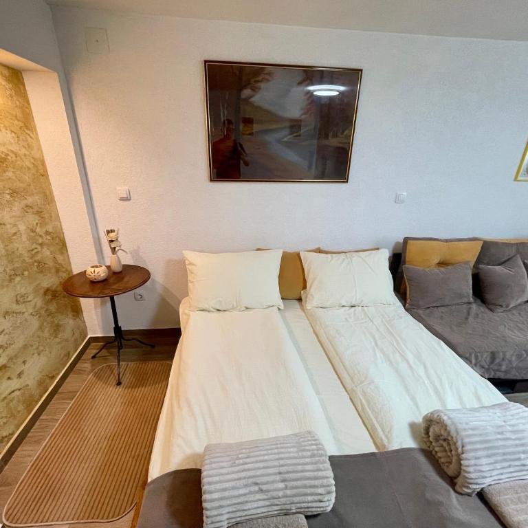 Apartmani Stanković Sokobanja - Apartman sa 1 Spavaćom Sobom - 6