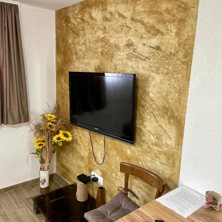 Apartmani Stanković Sokobanja - Apartman sa 1 Spavaćom Sobom - 10