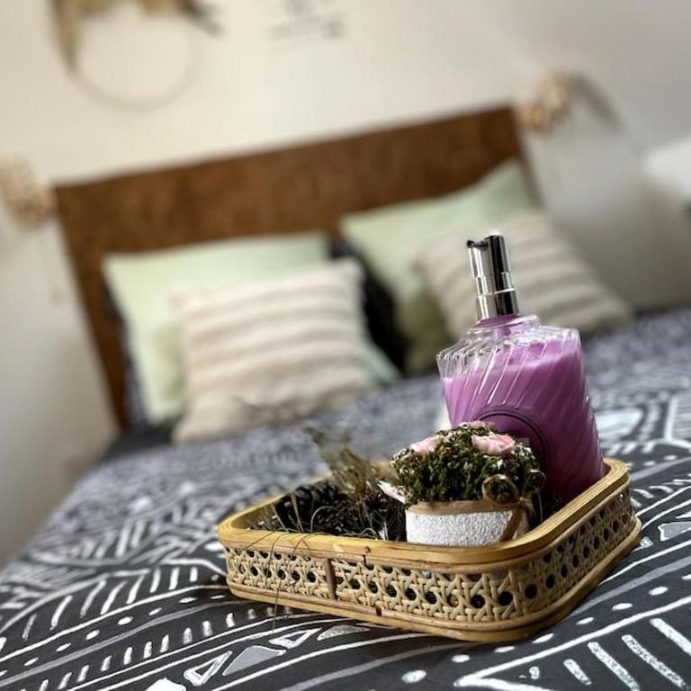 La Suite Massyl - Hypercentre & Proche Plage - Appartement 1 Chambre - 1