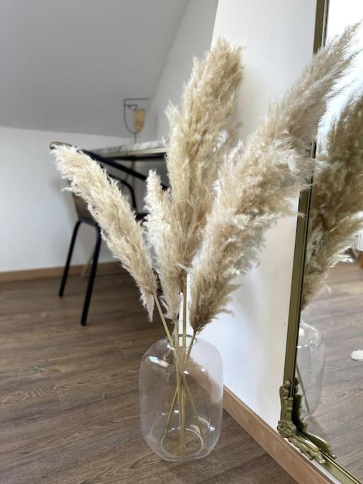 La Suite Massyl - Hypercentre & Proche Plage - Appartement 1 Chambre - 12