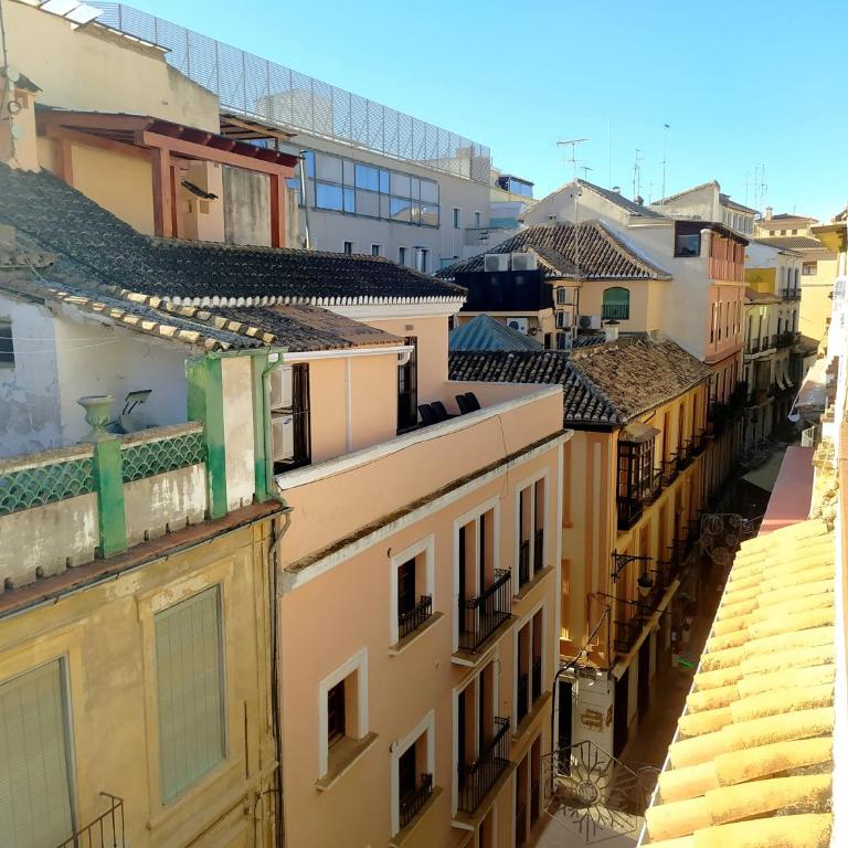 Hostal El Olivo - Triple Room with Terrace - 3
