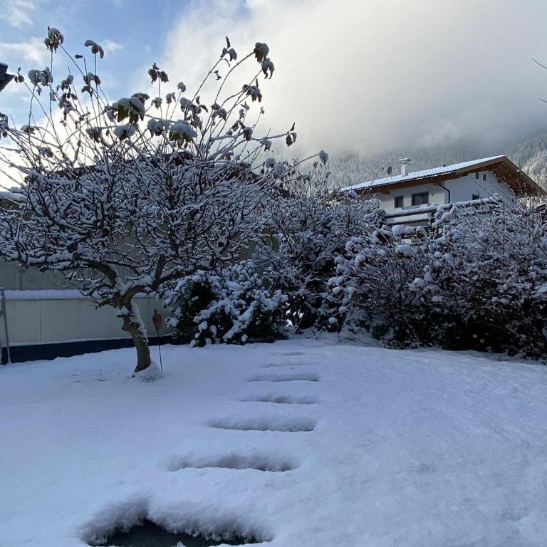 Apart M - Apartment mit 2 Schlafzimmern und Badezimmer - 31