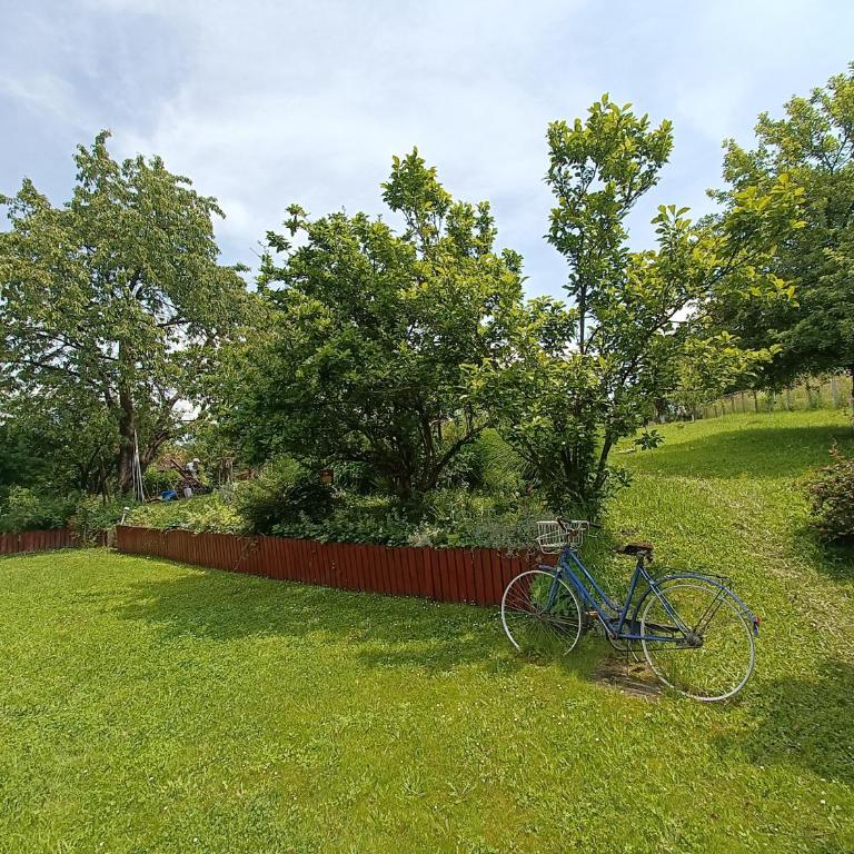 Haus Viktoria near Banja Luka - Two-Bedroom Apartment - 30