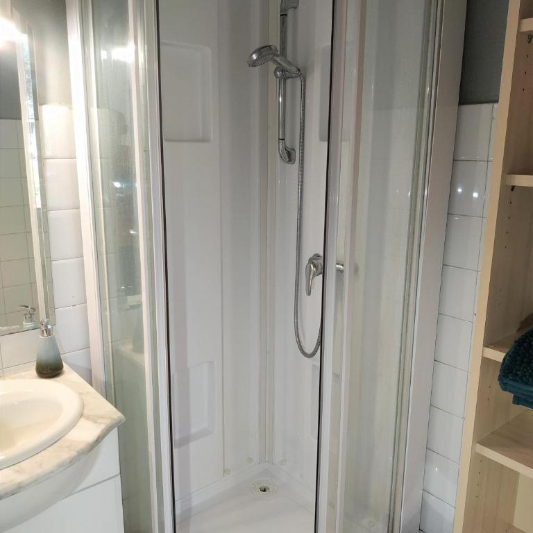 Manet - Appartement proche centre ville - parking gratuit - Appartement 1 Chambre - 8