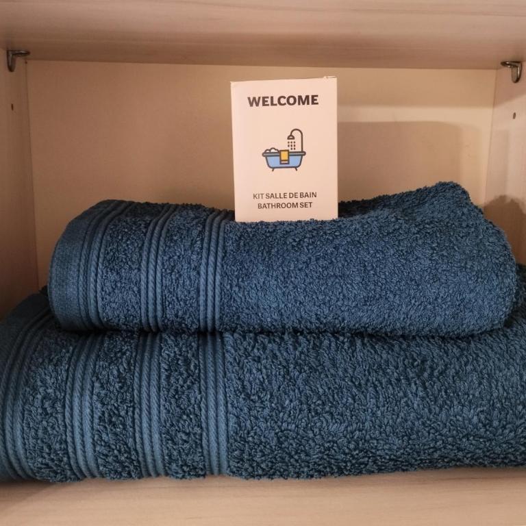 Manet - Appartement proche centre ville - parking gratuit - Appartement 1 Chambre - 9