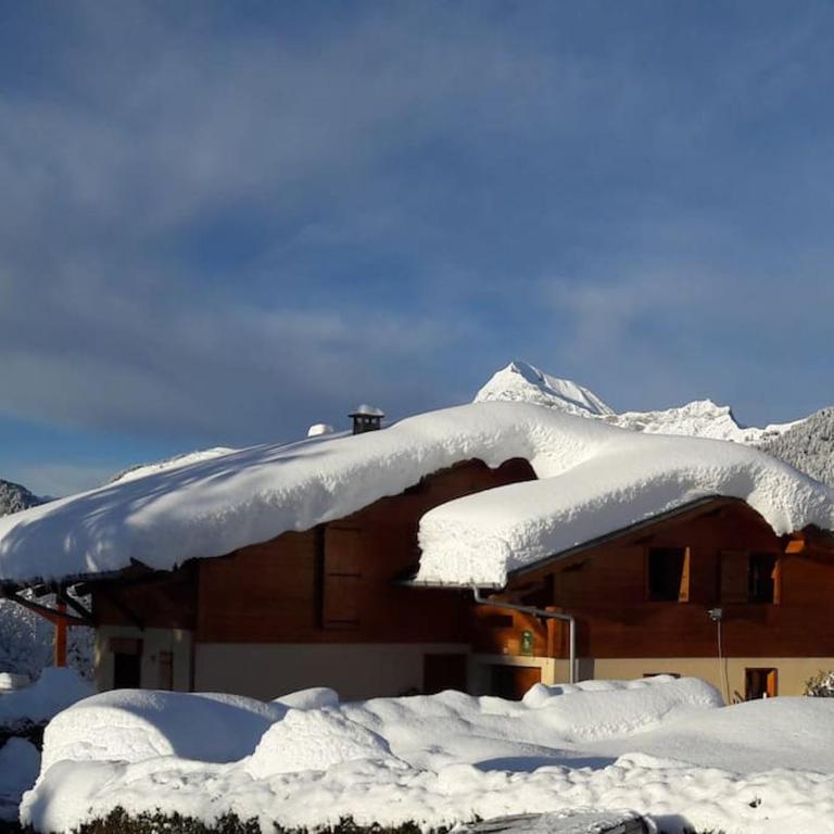 Chalet Le Wapiti, aux pieds des pistes, à 200m du village - Chalet - 1