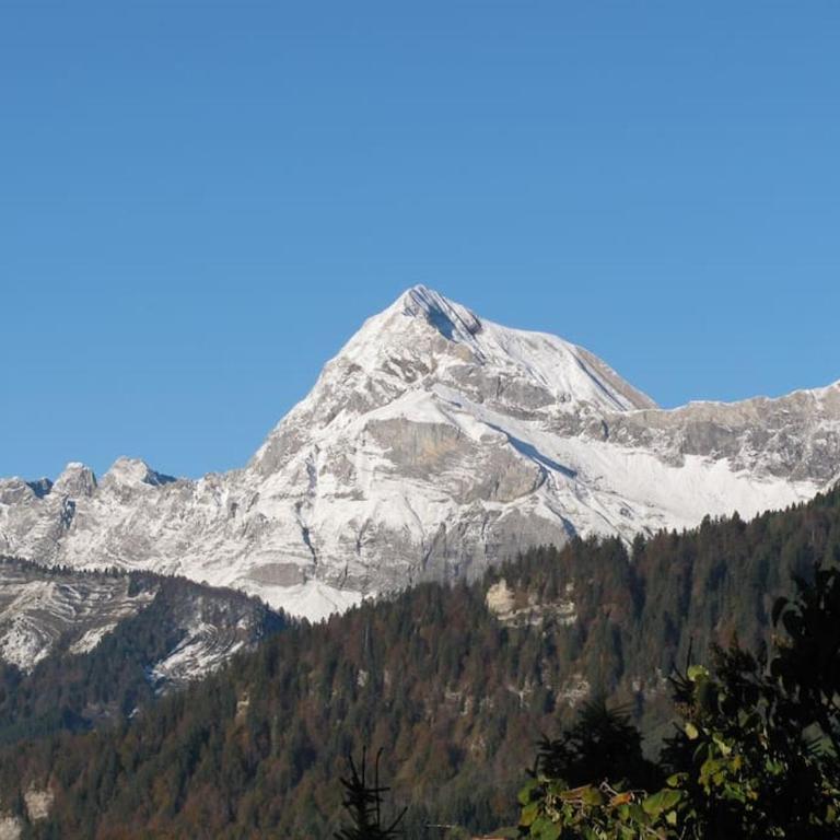 Chalet Le Wapiti, aux pieds des pistes, à 200m du village - Chalet - 31