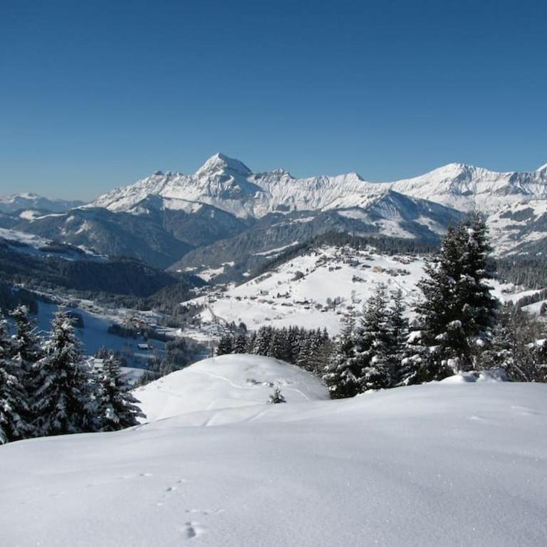 Chalet Le Wapiti, aux pieds des pistes, à 200m du village - Chalet - 32