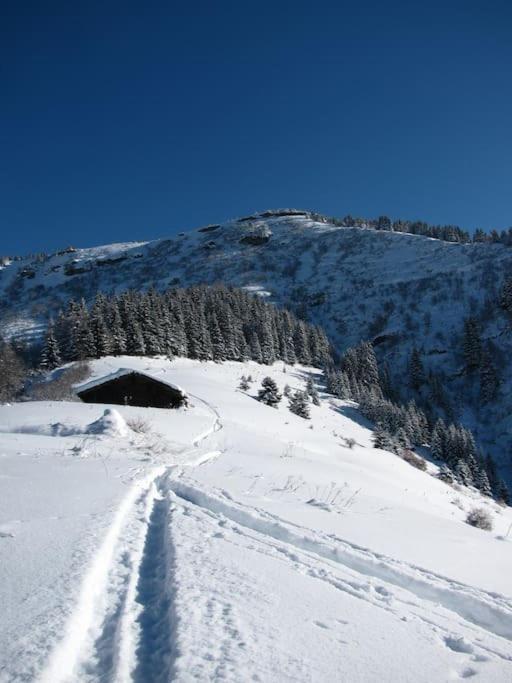 Chalet Le Wapiti, aux pieds des pistes, à 200m du village - Chalet - 34
