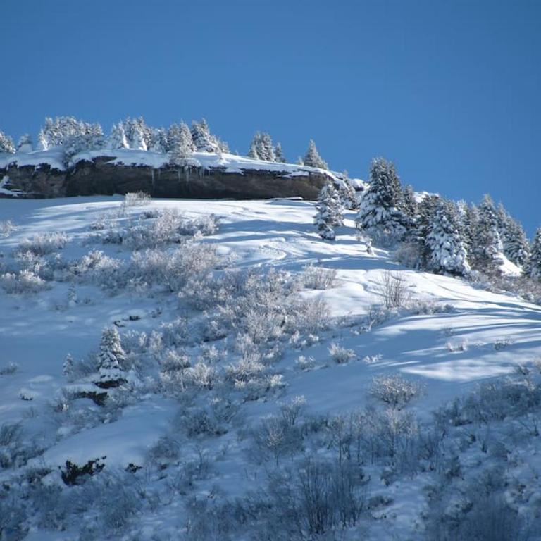 Chalet Le Wapiti, aux pieds des pistes, à 200m du village - Chalet - 33