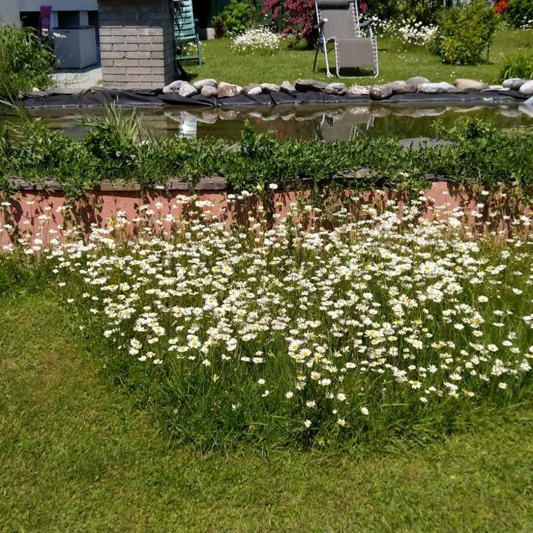 Haus KIKO - Apartment mit 1 Schlafzimmer, Balkon und Aussicht auf das Wasser - 10