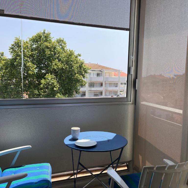 La douceur de vivre à Cannes - Appartement 1 Chambre - 5
