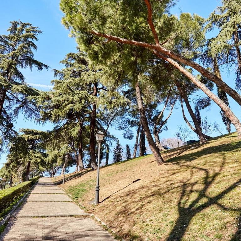 DOWNTOWN La LATINA Grupos, by MONARO***** - Apartamento - 39
