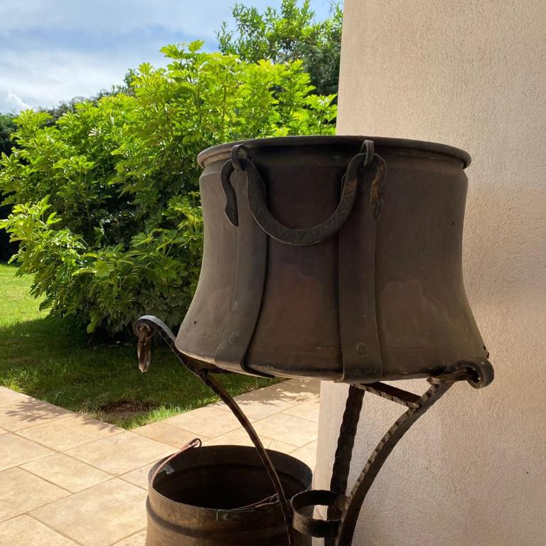 Villa Giulio Polignano - Villa con Vista Giardino - 34
