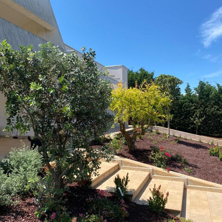 Villa Giulio Polignano - Villa con Vista Giardino - 52