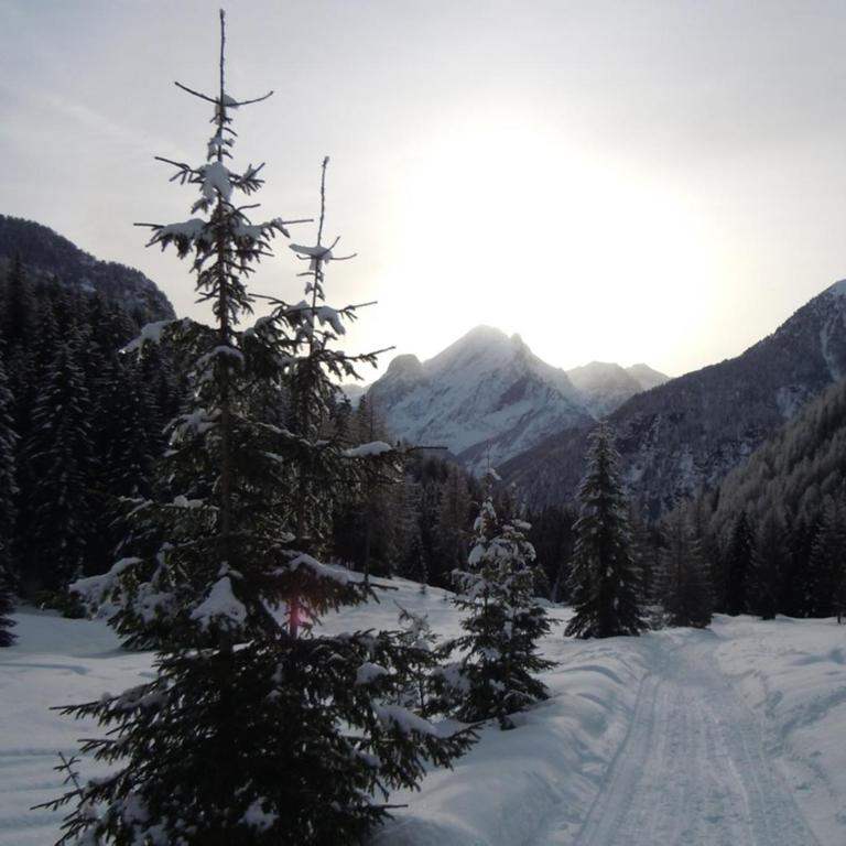 Arnica - Appartamento con Vista Montagna - 3