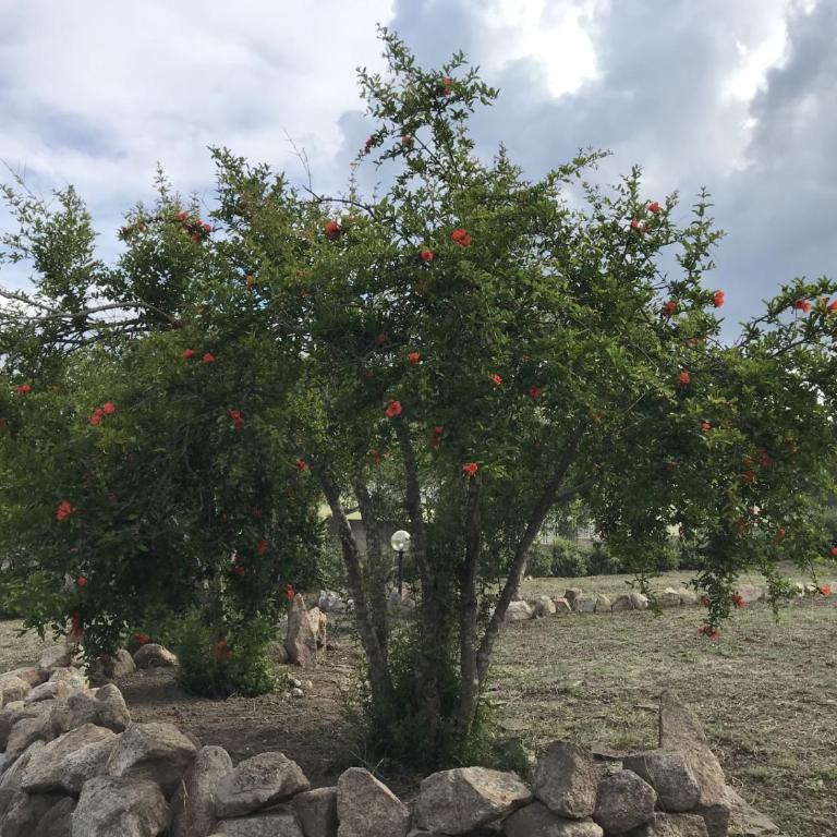 Villetta S'Arenada - Appartamento con 3 Camere da Letto - 31
