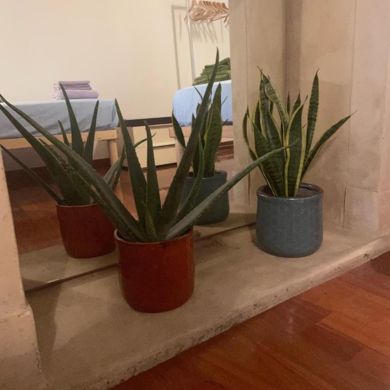 Loft Ponte Pietra - Casa con 2 Camere da Letto - 26