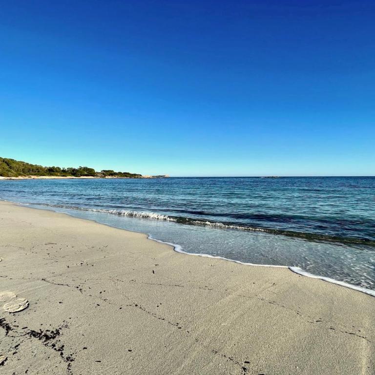 Punta Est - Mono OSTRO Terrazza Fronte Mare - Appartamento con 1 Camera da Letto - 44